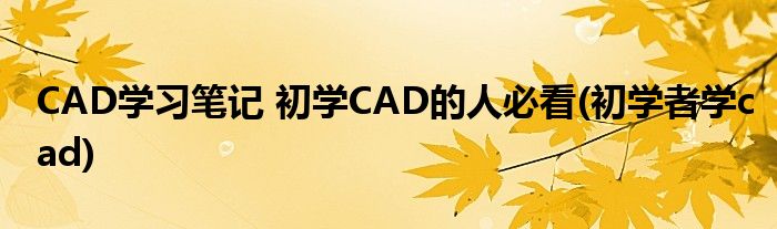 CAD学习笔记 初学CAD的人必看(初学者学cad)