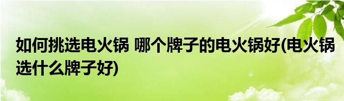 如何挑选电火锅 哪个牌子的电火锅好(电火锅选什么牌子好)