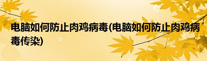 电脑如何防止肉鸡病毒(电脑如何防止肉鸡病毒传染)