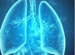 气道芯片再现囊性纤维化肺部疾病