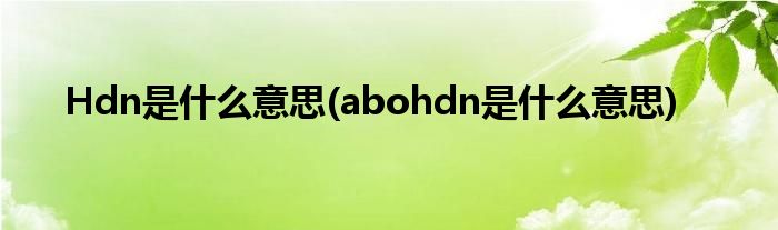 Hdn是什么意思(abohdn是什么意思)