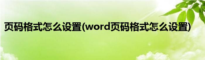 页码格式怎么设置(word页码格式怎么设置)