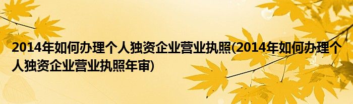 2014年如何办理个人独资企业营业执照(2014年如何办理个人独资企业营业执照年审)