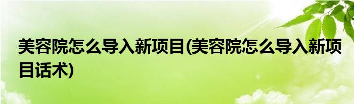 美容院怎么导入新项目(美容院怎么导入新项目话术)