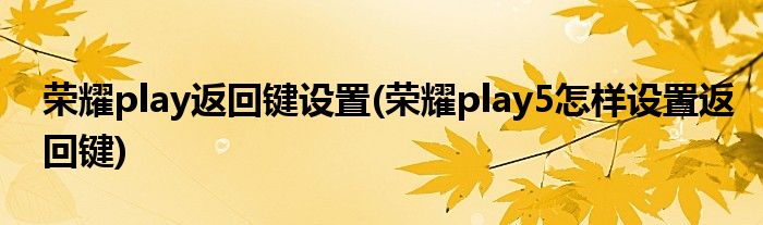 荣耀play返回键设置(荣耀play5怎样设置返回键)