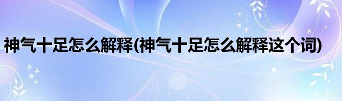 神气十足怎么解释(神气十足怎么解释这个词)