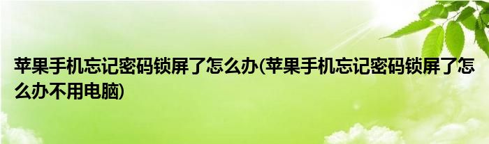 苹果手机忘记密码锁屏了怎么办(苹果手机忘记密码锁屏了怎么办不用电脑)