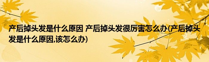 产后掉头发是什么原因 产后掉头发很厉害怎么办(产后掉头发是什么原因,该怎么办)