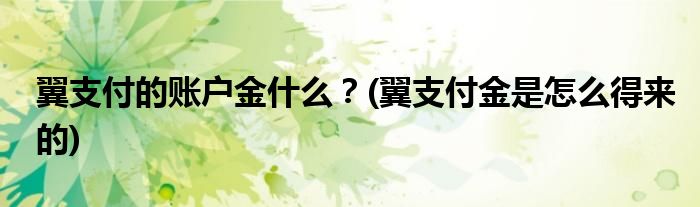 翼支付的账户金什么？(翼支付金是怎么得来的)