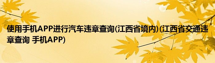 使用手机APP进行汽车违章查询(江西省境内)(江西省交通违章查询 手机APP)