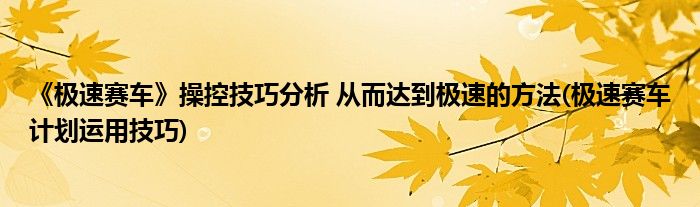 《极速赛车》操控技巧分析 从而达到极速的方法(极速赛车计划运用技巧)