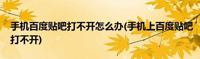 手机百度贴吧打不开怎么办(手机上百度贴吧打不开)