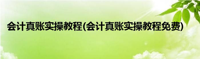 会计真账实操教程(会计真账实操教程免费)