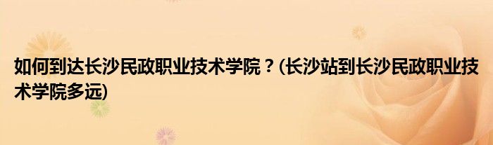 如何到达长沙民政职业技术学院？(长沙站到长沙民政职业技术学院多远)