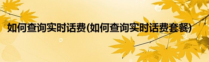 如何查询实时话费(如何查询实时话费套餐)