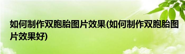 如何制作双胞胎图片效果(如何制作双胞胎图片效果好)