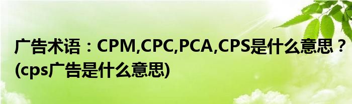 广告术语：CPM,CPC,PCA,CPS是什么意思？(cps广告是什么意思)