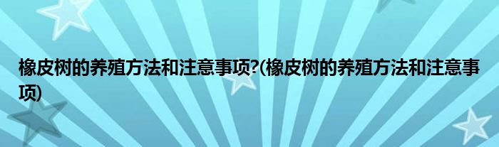 橡皮树的养殖方法和注意事项?(橡皮树的养殖方法和注意事项)