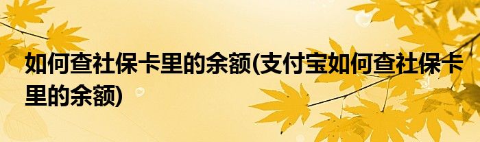 如何查社保卡里的余额(支付宝如何查社保卡里的余额)