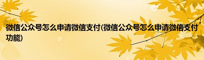 微信公众号怎么申请微信支付(微信公众号怎么申请微信支付功能)