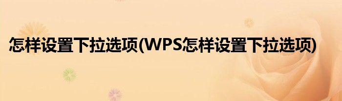 怎样设置下拉选项(WPS怎样设置下拉选项)