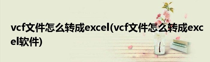 vcf文件怎么转成excel(vcf文件怎么转成excel软件)