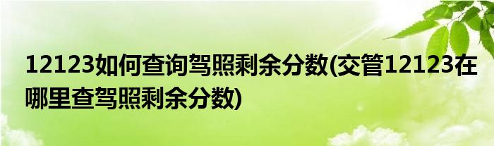 12123如何查询驾照剩余分数(交管12123在哪里查驾照剩余分数)