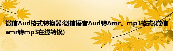 微信Aud格式转换器:微信语音Aud转Amr、mp3格式(微信amr转mp3在线转换)