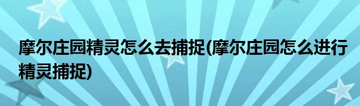 摩尔庄园精灵怎么去捕捉(摩尔庄园怎么进行精灵捕捉)