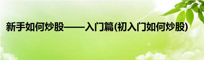 新手如何炒股——入门篇(初入门如何炒股)