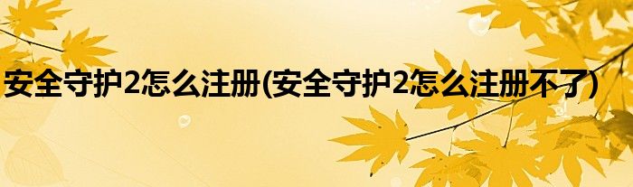 安全守护2怎么注册(安全守护2怎么注册不了)