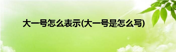 大一号怎么表示(大一号是怎么写)