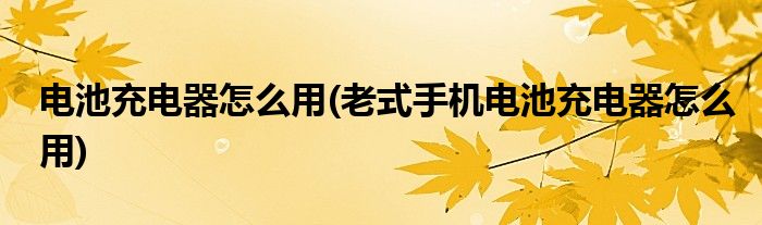 电池充电器怎么用(老式手机电池充电器怎么用)