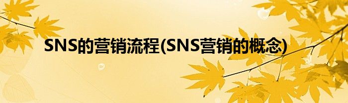 SNS的营销流程(SNS营销的概念)