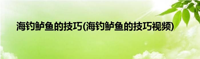 海钓鲈鱼的技巧(海钓鲈鱼的技巧视频)