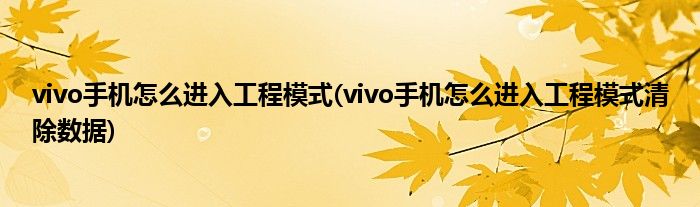 vivo手机怎么进入工程模式(vivo手机怎么进入工程模式清除数据)