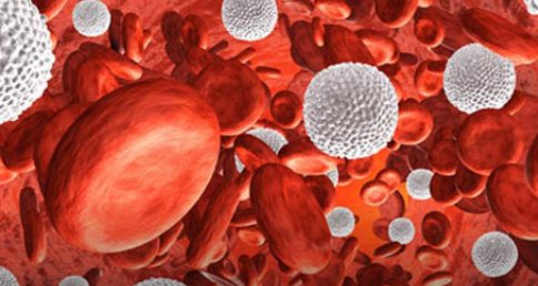 单核细胞可能是艾滋病毒的稳定储存库