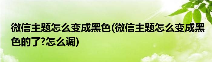 微信主题怎么变成黑色(微信主题怎么变成黑色的了?怎么调)