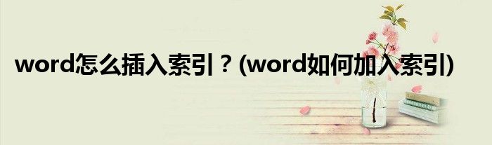 word怎么插入索引？(word如何加入索引)