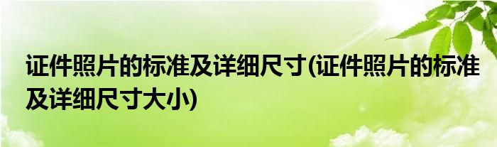 证件照片的标准及详细尺寸(证件照片的标准及详细尺寸大小)