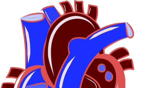 研究人员确定心血管疾病的生物标志物