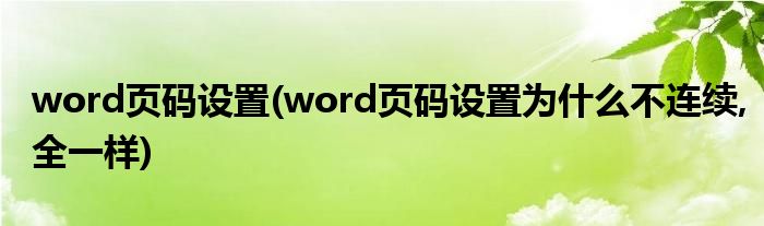 word页码设置(word页码设置为什么不连续,全一样)