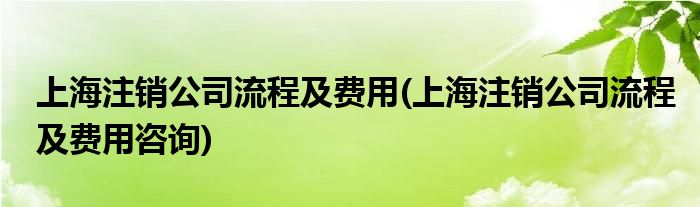 上海注销公司流程及费用(上海注销公司流程及费用咨询)