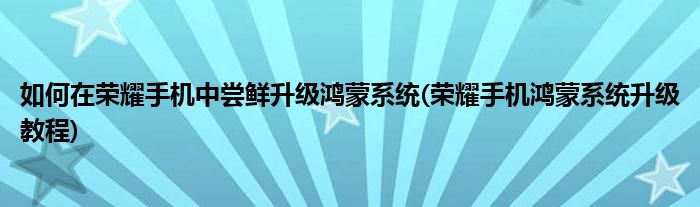 如何在荣耀手机中尝鲜升级鸿蒙系统(荣耀手机鸿蒙系统升级教程)