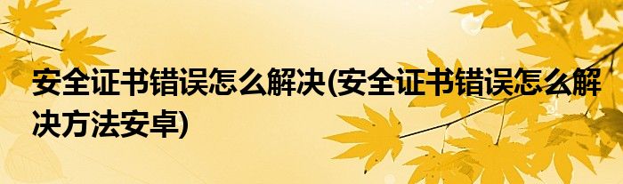 安全证书错误怎么解决(安全证书错误怎么解决方法安卓)