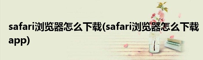 safari浏览器怎么下载(safari浏览器怎么下载app)