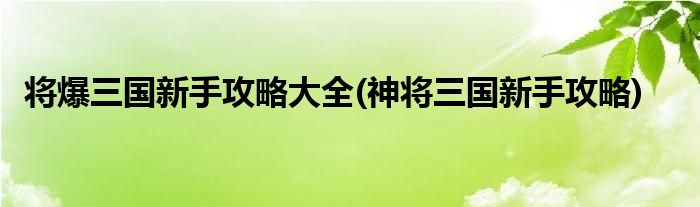 将爆三国新手攻略大全(神将三国新手攻略)