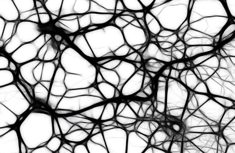 隐藏的酶网络导致了阿尔茨海默病的大脑突触丧失