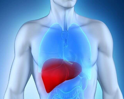 HFE 血色素沉着症可能会增加男性患肝癌的风险