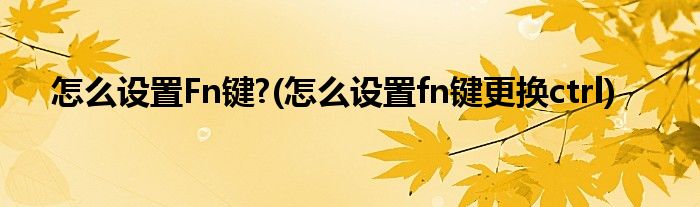 怎么设置Fn键?(怎么设置fn键更换ctrl)